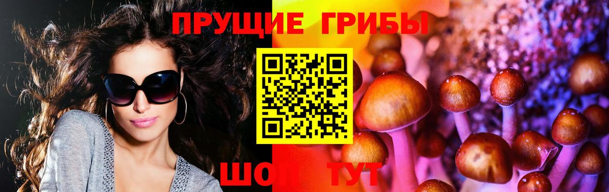 Кимры  Псилоцибиновые грибы Psilocybine cubensis  Вход с VPN 
